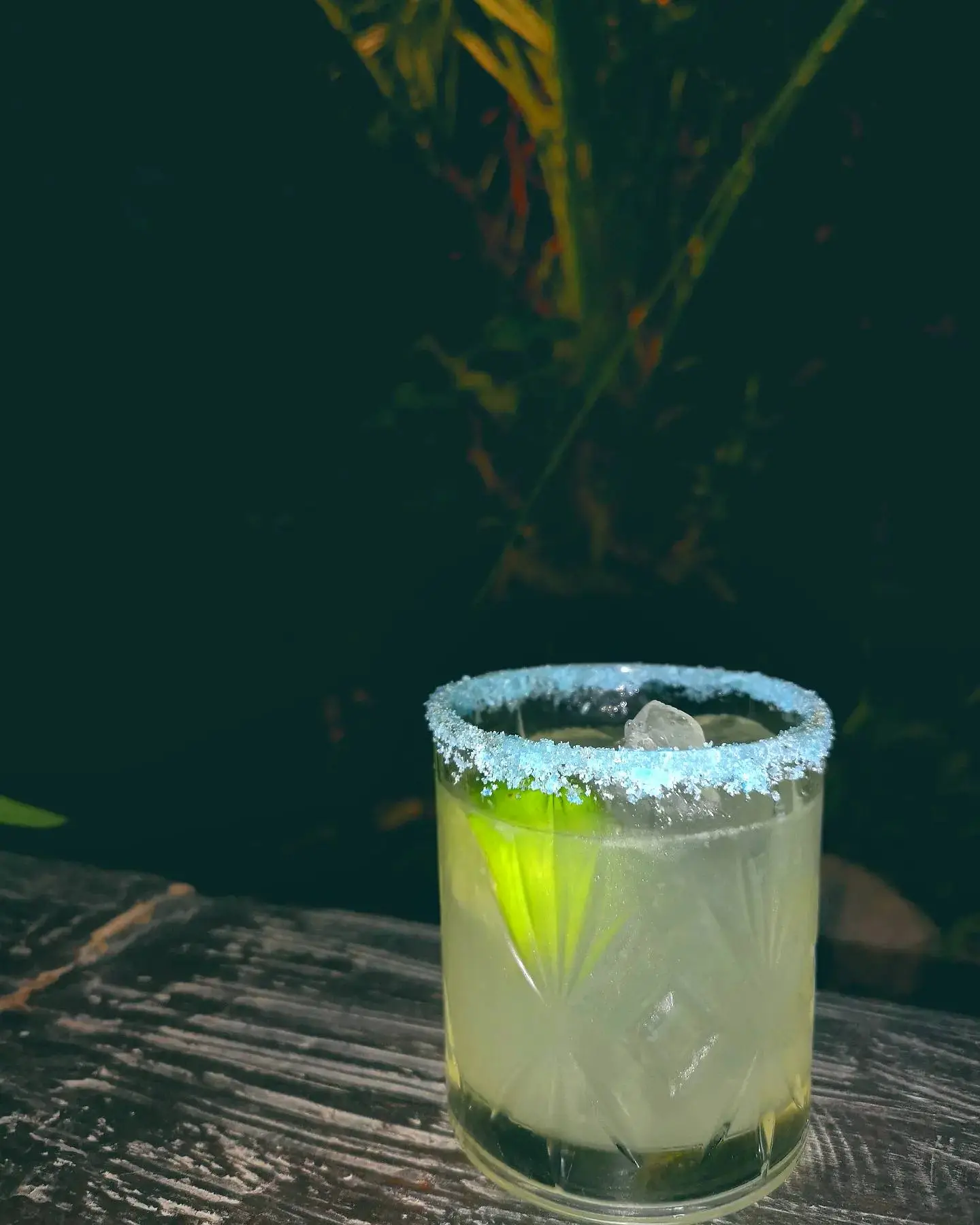 Unforgettable cocktails